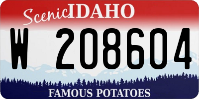 ID license plate W208604