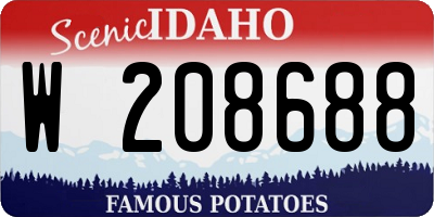 ID license plate W208688