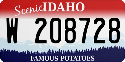 ID license plate W208728
