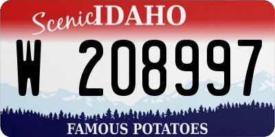 ID license plate W208997