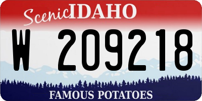 ID license plate W209218