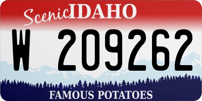 ID license plate W209262
