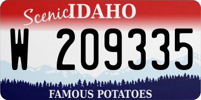 ID license plate W209335