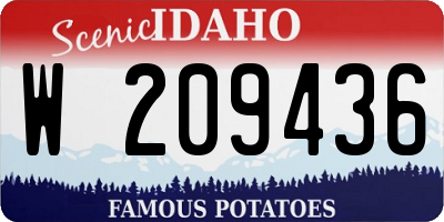 ID license plate W209436