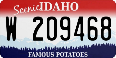 ID license plate W209468