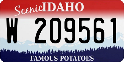ID license plate W209561