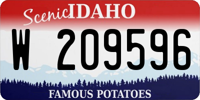 ID license plate W209596