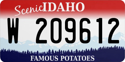 ID license plate W209612