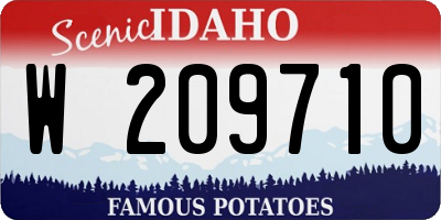 ID license plate W209710