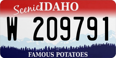 ID license plate W209791