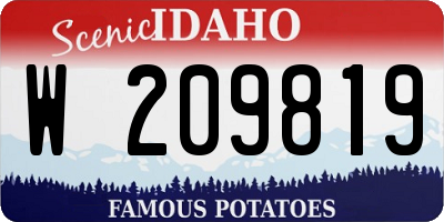 ID license plate W209819