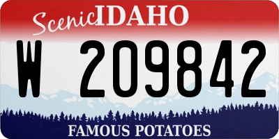 ID license plate W209842