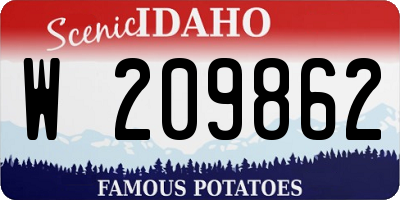ID license plate W209862