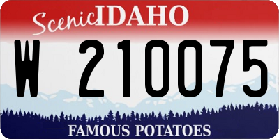 ID license plate W210075