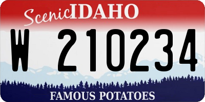 ID license plate W210234