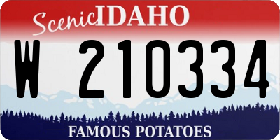 ID license plate W210334