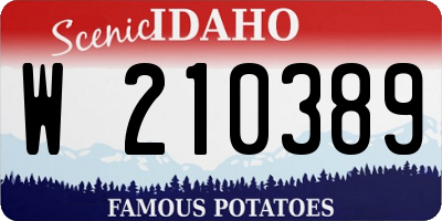 ID license plate W210389
