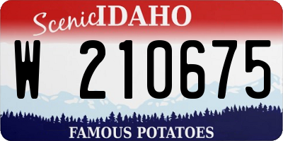 ID license plate W210675
