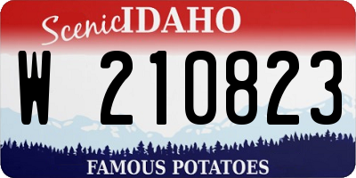 ID license plate W210823