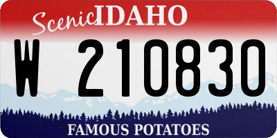 ID license plate W210830