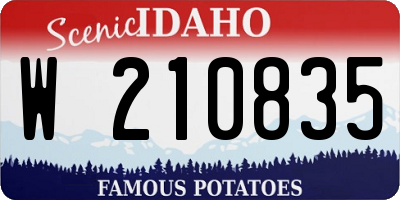 ID license plate W210835