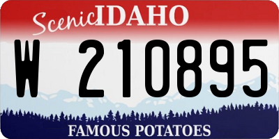 ID license plate W210895