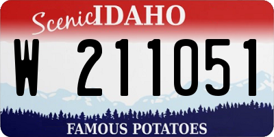 ID license plate W211051