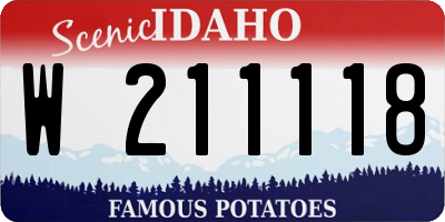 ID license plate W211118