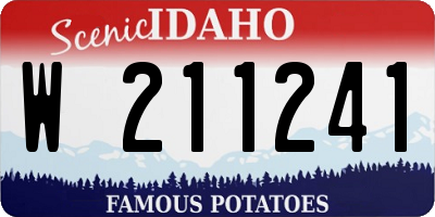 ID license plate W211241