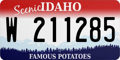 ID license plate W211285