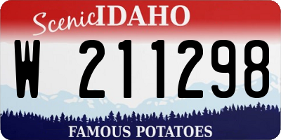 ID license plate W211298