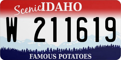 ID license plate W211619