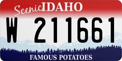 ID license plate W211661