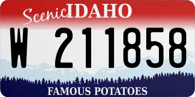 ID license plate W211858