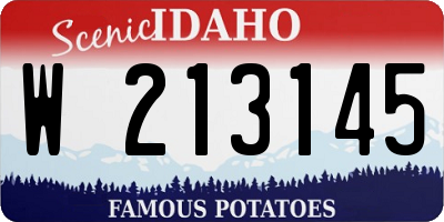 ID license plate W213145