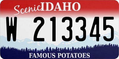 ID license plate W213345