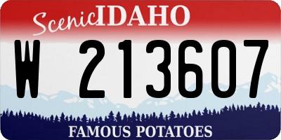 ID license plate W213607