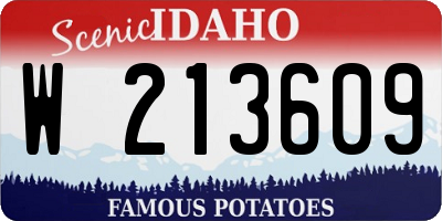 ID license plate W213609