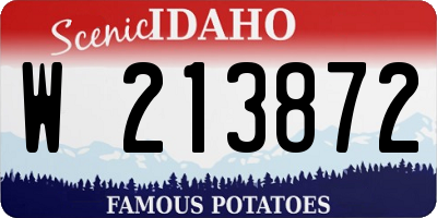 ID license plate W213872