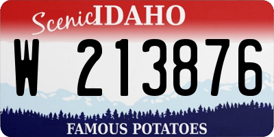 ID license plate W213876