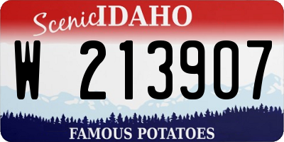 ID license plate W213907