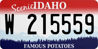 ID license plate W215559