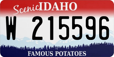 ID license plate W215596
