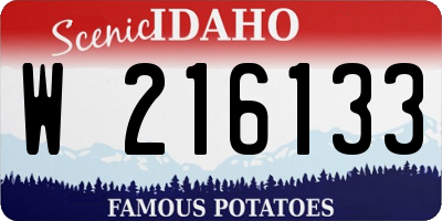 ID license plate W216133