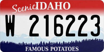 ID license plate W216223