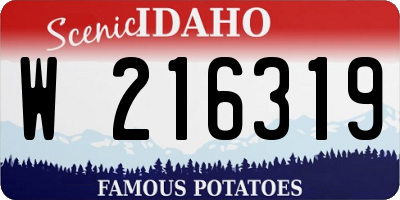 ID license plate W216319