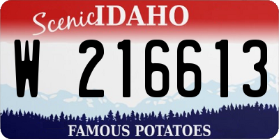 ID license plate W216613