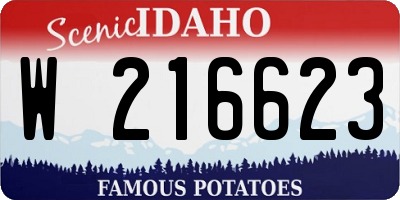 ID license plate W216623
