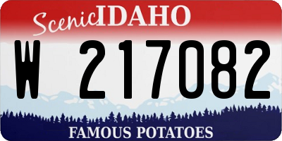 ID license plate W217082