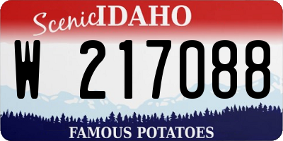ID license plate W217088